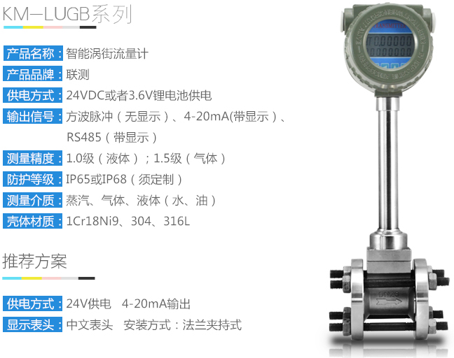 氯化氫流量計技術(shù)參數(shù)圖